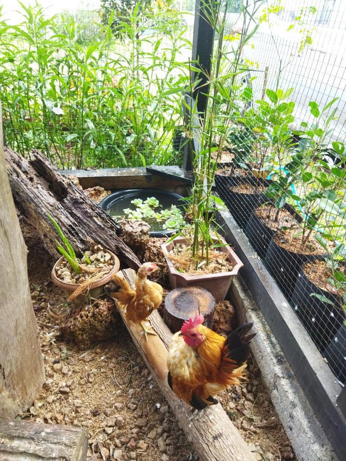 Tehel Farmhouse Malacca Bagian luar foto